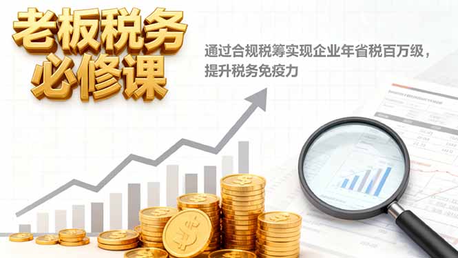 老板税务必修课,通过合规税筹实现企业年省税百万级,提升税务免疫力-玛雅星