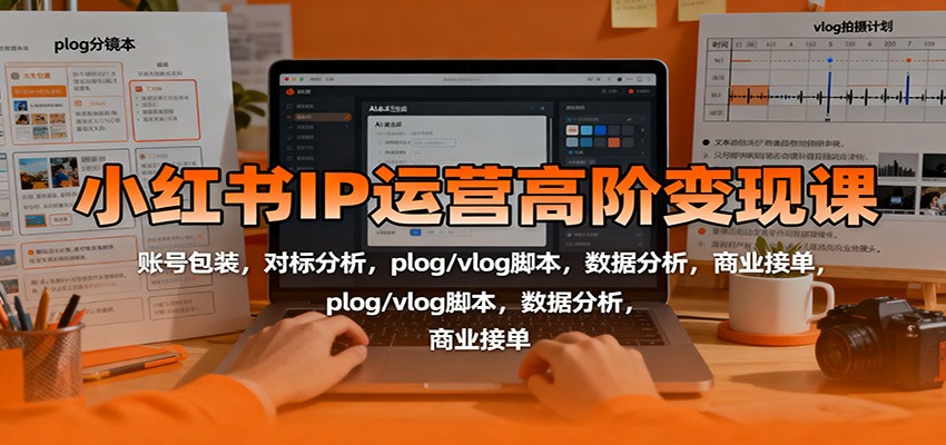 小红书IP运营高阶变现课:账号包装,对标分析,plog/vlog脚本,数据分析,商业接单-禾风丰