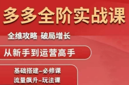 大炮·拼多多全阶实战课程(更新10月)-禾风丰