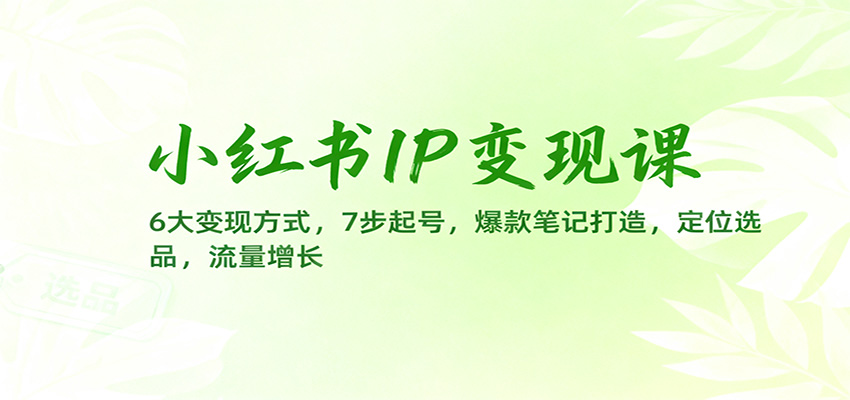 小红书IP变现课:6大变现方式,7步起号,爆款笔记打造,定位选品,流量增长-玛雅星